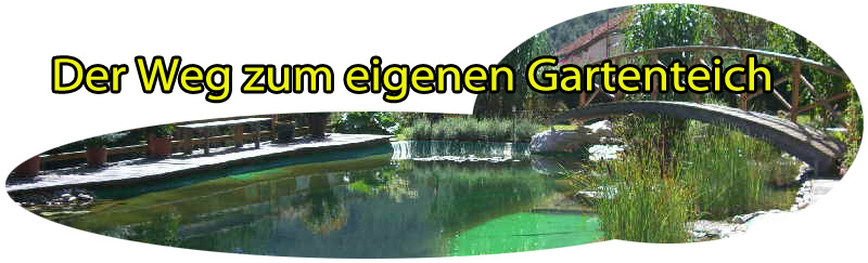 Gartenteich