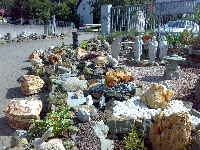 Wassergarten